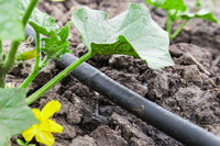 Ecoplant - Startpaket droppslang - Hård slang - 25 meter