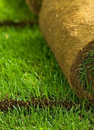 Gräsmatta - Rullgräs - Fraktfritt! 50m2/Pall - Välj antal m2 50 till 500 m2