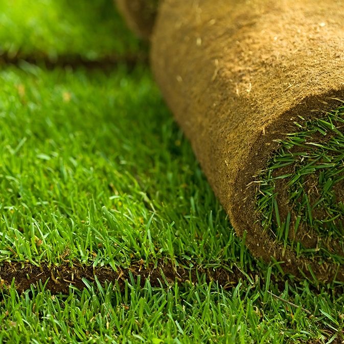 Gräsmatta - Rullgräs - Fraktfritt! 50m2/Pall - Välj antal m2 50 till 500 m2